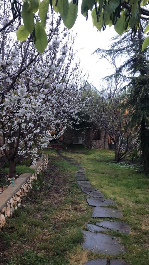Zimer Al-Bayt Mas'ada Exteriér fotografie