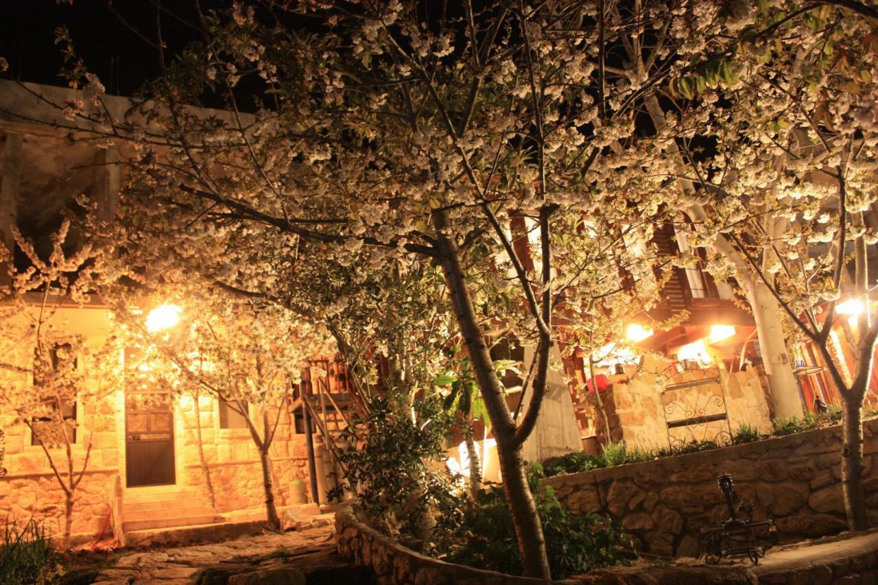 Zimer Al-Bayt Mas'ada Exteriér fotografie