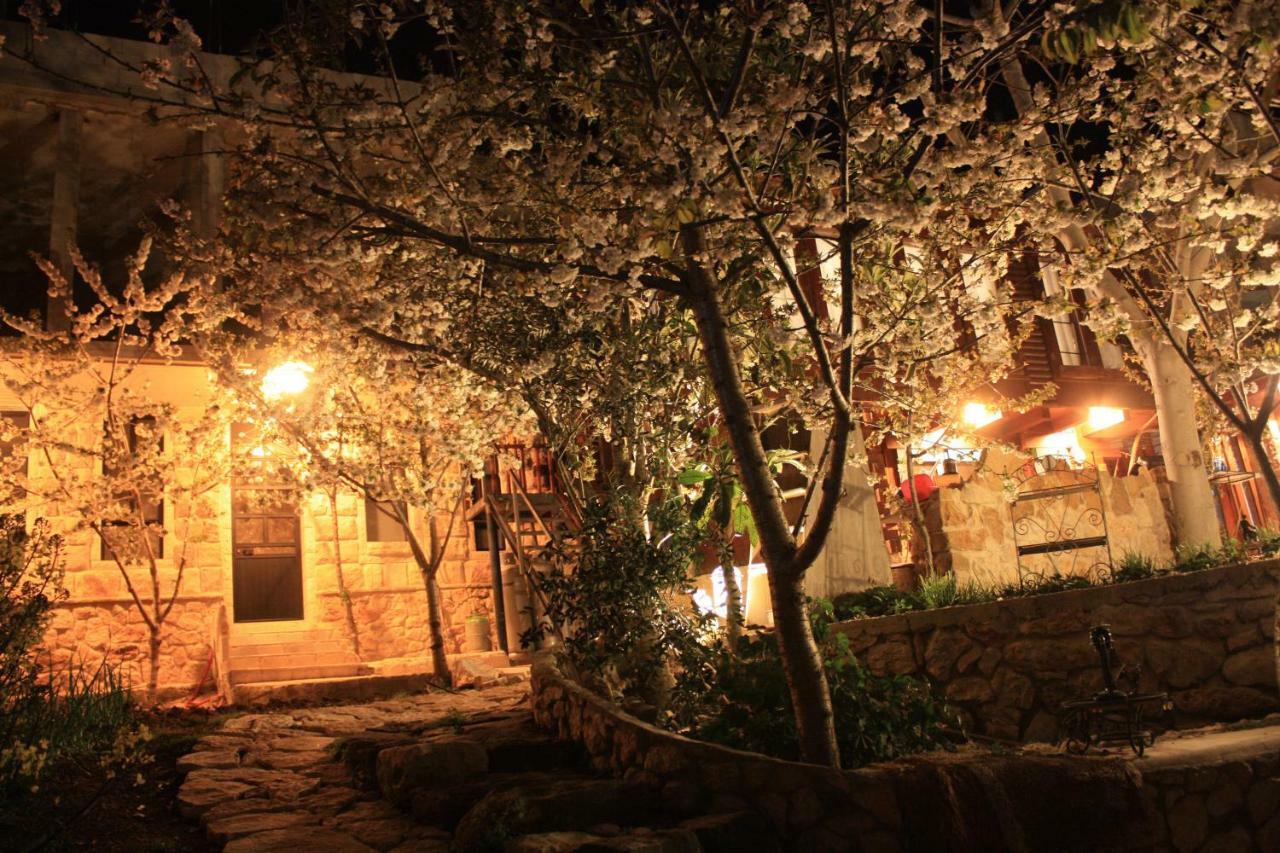 Zimer Al-Bayt Mas'ada Exteriér fotografie