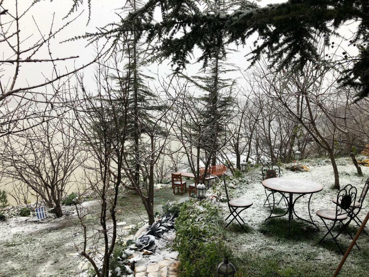Zimer Al-Bayt Mas'ada Exteriér fotografie