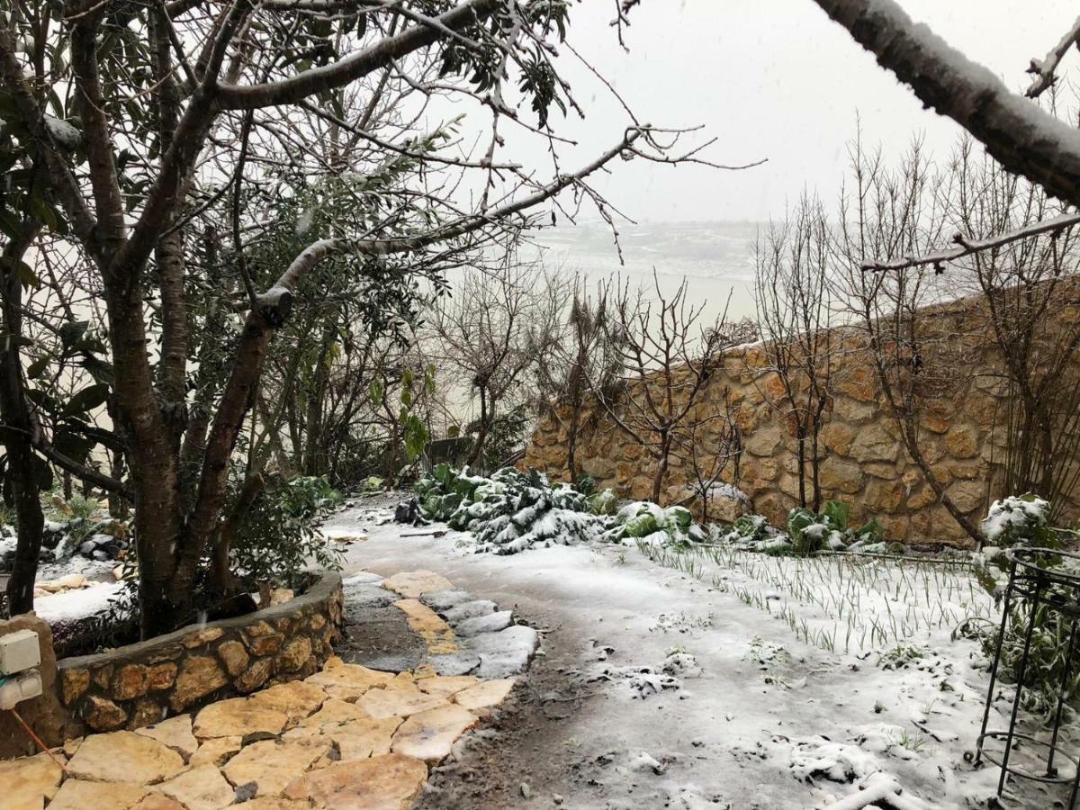 Zimer Al-Bayt Mas'ada Exteriér fotografie